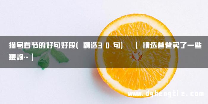 描写春节的好句好段（精选30句） （精选爸爸买了一些鞭炮…）
